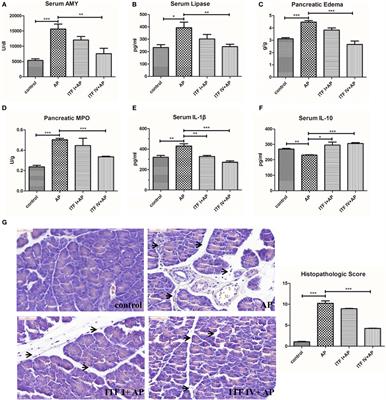 Inulin-Type Fructans Modulates Pancreatic–Gut Innate Immune Responses and Gut Barrier Integrity during Experimental Acute Pancreatitis in a Chain Length-Dependent Manner